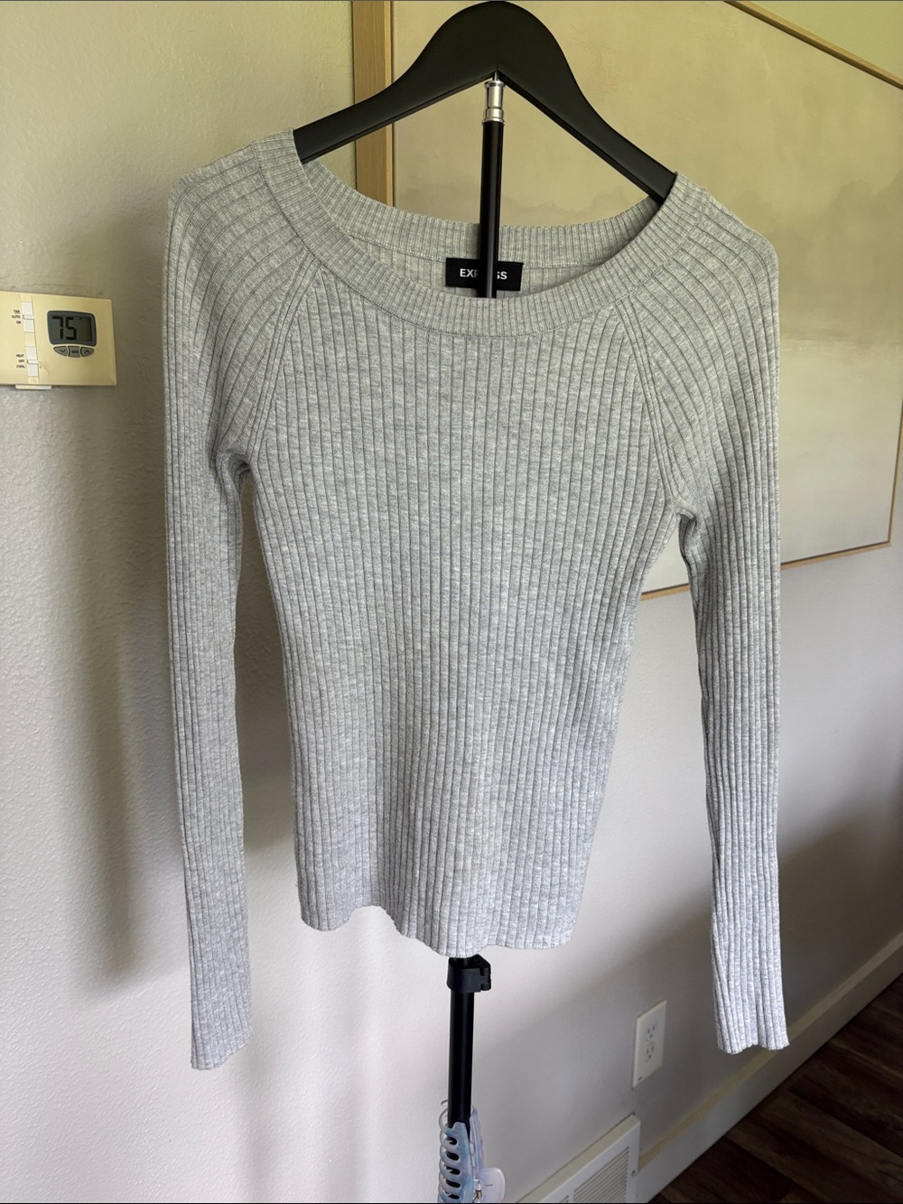 Express Lightweight Ribbed Long Sleeve Top in Light Gray 3 for price of 1